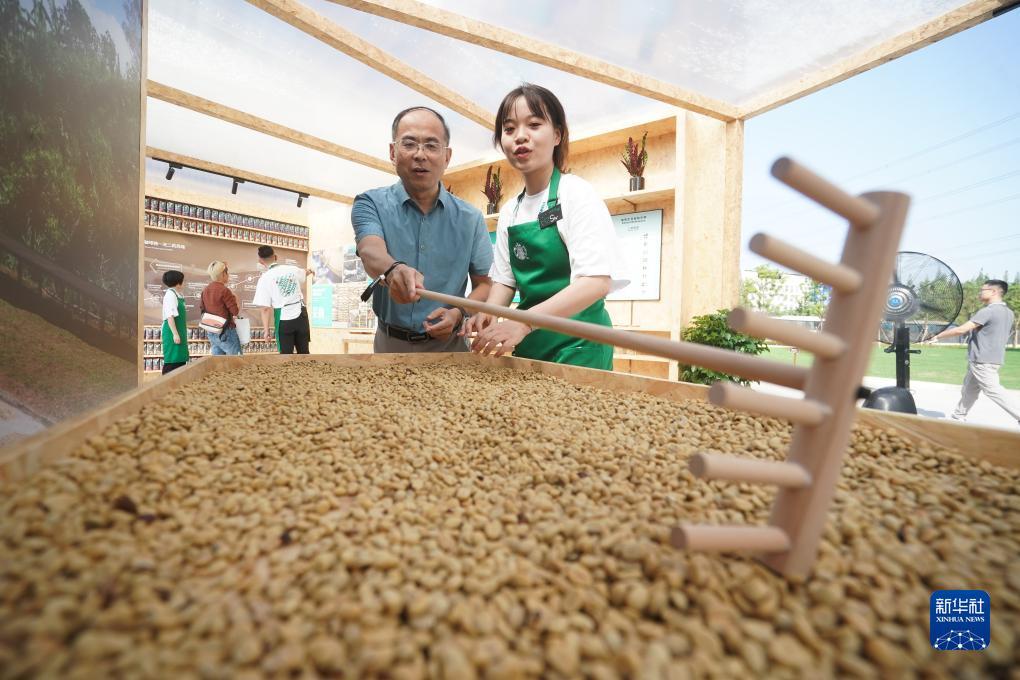 皇城国际的网站是多少
